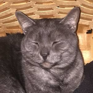 Meet your Posher, Collin